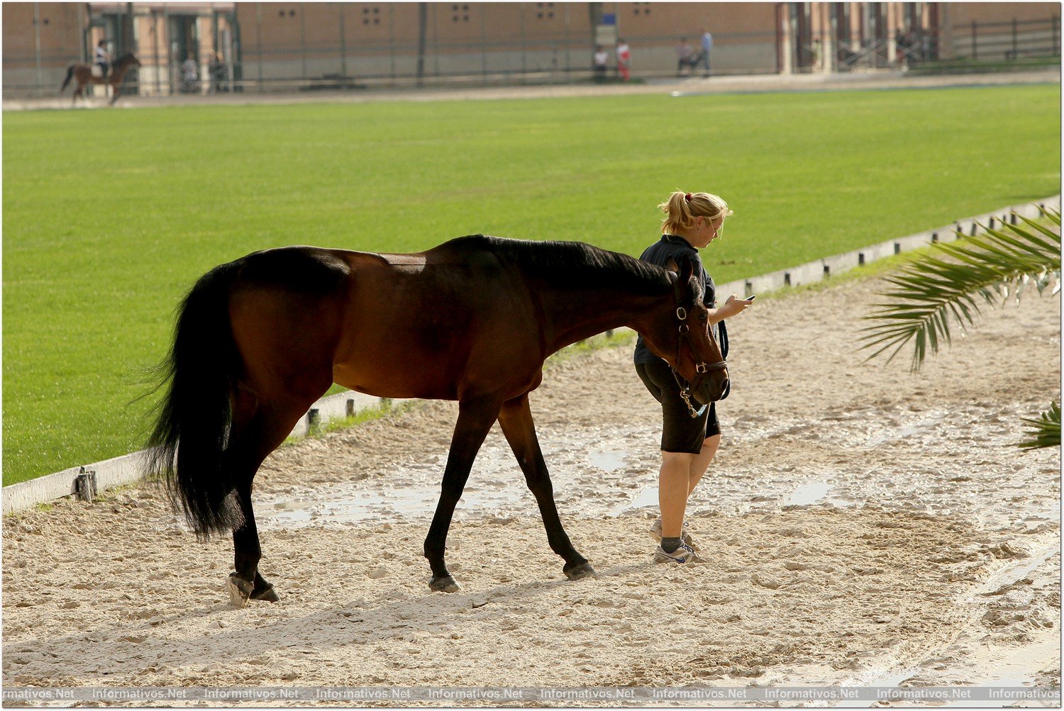 BCN28SEP013.- 102º edición del CSIO Barcelona. Ambiente en el Real Club de Polo de Barcelona