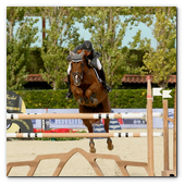 :: Pulse para Ampliar :: BCN28SEP013.- 102º edición del CSIO Barcelona. Final de consolación de la Furusiyya FEI Nations Cup™ Jumping Final. El jinete español Julio Arias, montando a Quinai Des Chayottes