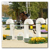 :: Pulse para Ampliar :: BCN28SEP013.- 102º edición del CSIO Barcelona. Final de consolación de la Furusiyya FEI Nations Cup™ Jumping Final. El colombiano Dayro Arroyave, montando a Eldorado van Het Vijverhof