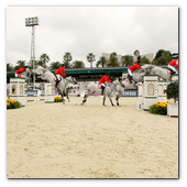 :: Pulse para Ampliar :: BCN28SEP013.- 102º edición del CSIO Barcelona. Final de consolación de la Furusiyya FEI Nations Cup™ Jumping Final. Steve Guerdat, montando a Nasa