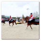 :: Pulse para Ampliar :: BCN28SEP013.- 102º edición del CSIO Barcelona. Final de consolación de la Furusiyya FEI Nations Cup™ Jumping Final. Vuelta de honor tras la entrega del premio