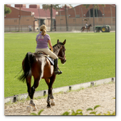 :: Pulse para Ampliar :: BCN28SEP013.- 102º edición del CSIO Barcelona. Ambiente en el Real Club de Polo de Barcelona