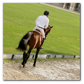 :: Pulse para Ampliar :: BCN28SEP013.- 102º edición del CSIO Barcelona. Ambiente en el Real Club de Polo de Barcelona