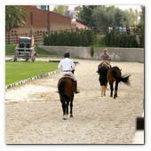 :: Pulse para Ampliar :: BCN28SEP013.- 102º edición del CSIO Barcelona. Ambiente en el Real Club de Polo de Barcelona