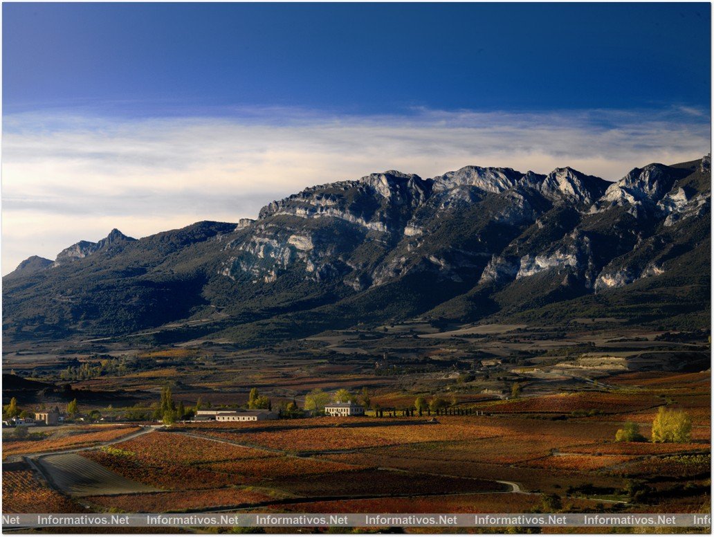 Torre de Oña 2009, calma reservada. Su artífice ha sido Julio Sáenz, director técnico de Rioja Alta S.A., grupo consagrado  que en 1995 se hizo cargo del proyecto de Torre de Oña con la idea de elaborar  vinos de excelente calidad en uno de los mejores pagos de Rioja Alavesa.