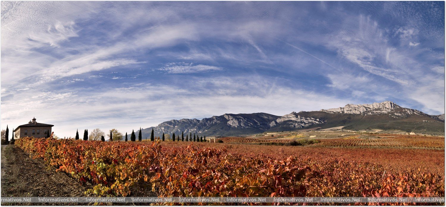 Torre de Oña 2009, calma reservada. Su artífice ha sido Julio Sáenz, director técnico de Rioja Alta S.A., grupo consagrado  que en 1995 se hizo cargo del proyecto de Torre de Oña con la idea de elaborar  vinos de excelente calidad en uno de los mejores pagos de Rioja Alavesa.