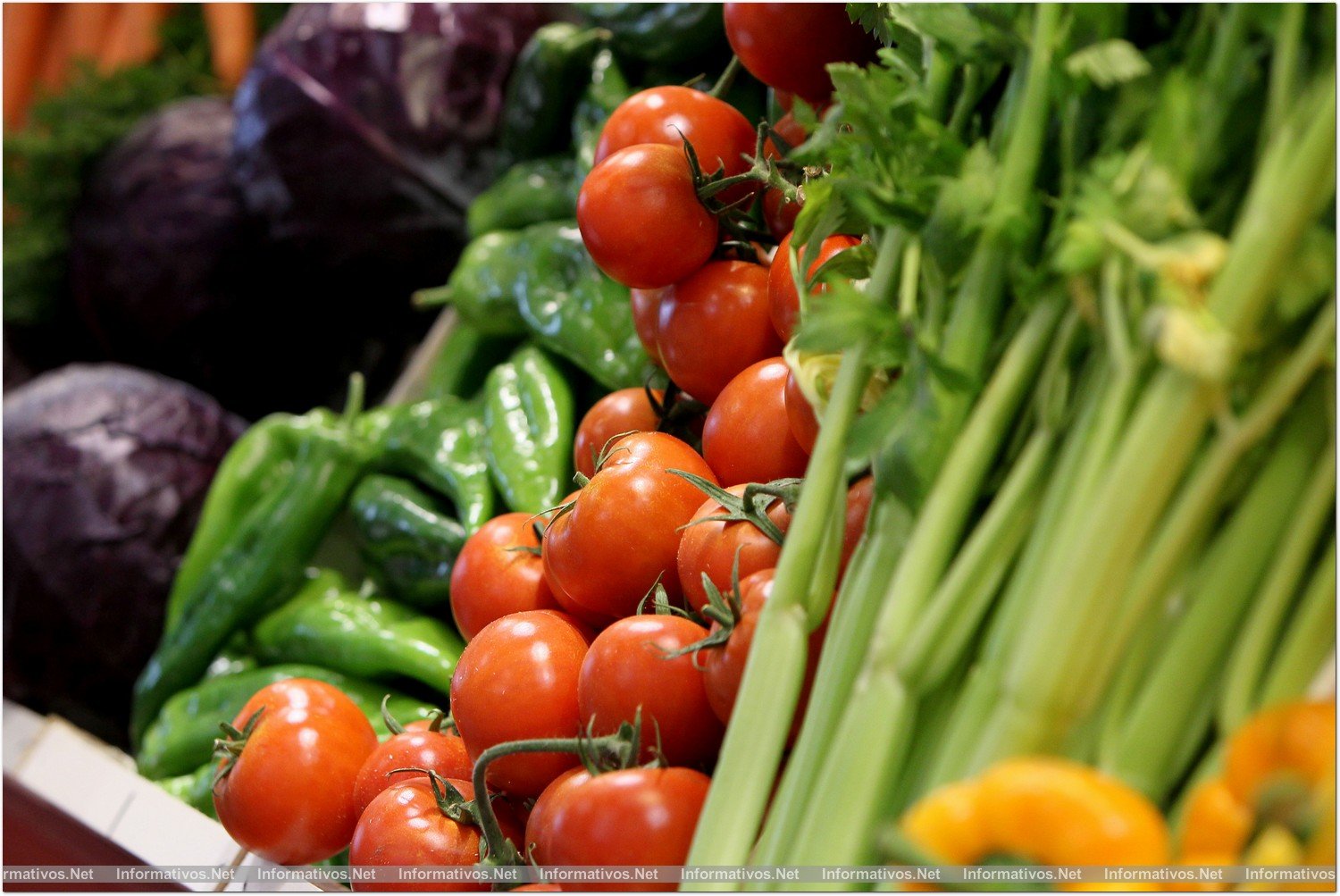 BCN Alimentaria 2014.