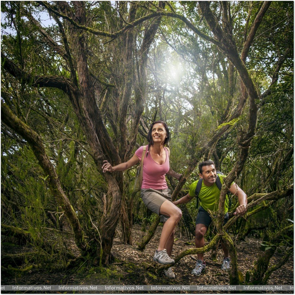 Canarias; las islas con mejor clima del mundo: 21ºC de media anual y 4.800 horas de luz al año: la eterna primavera.