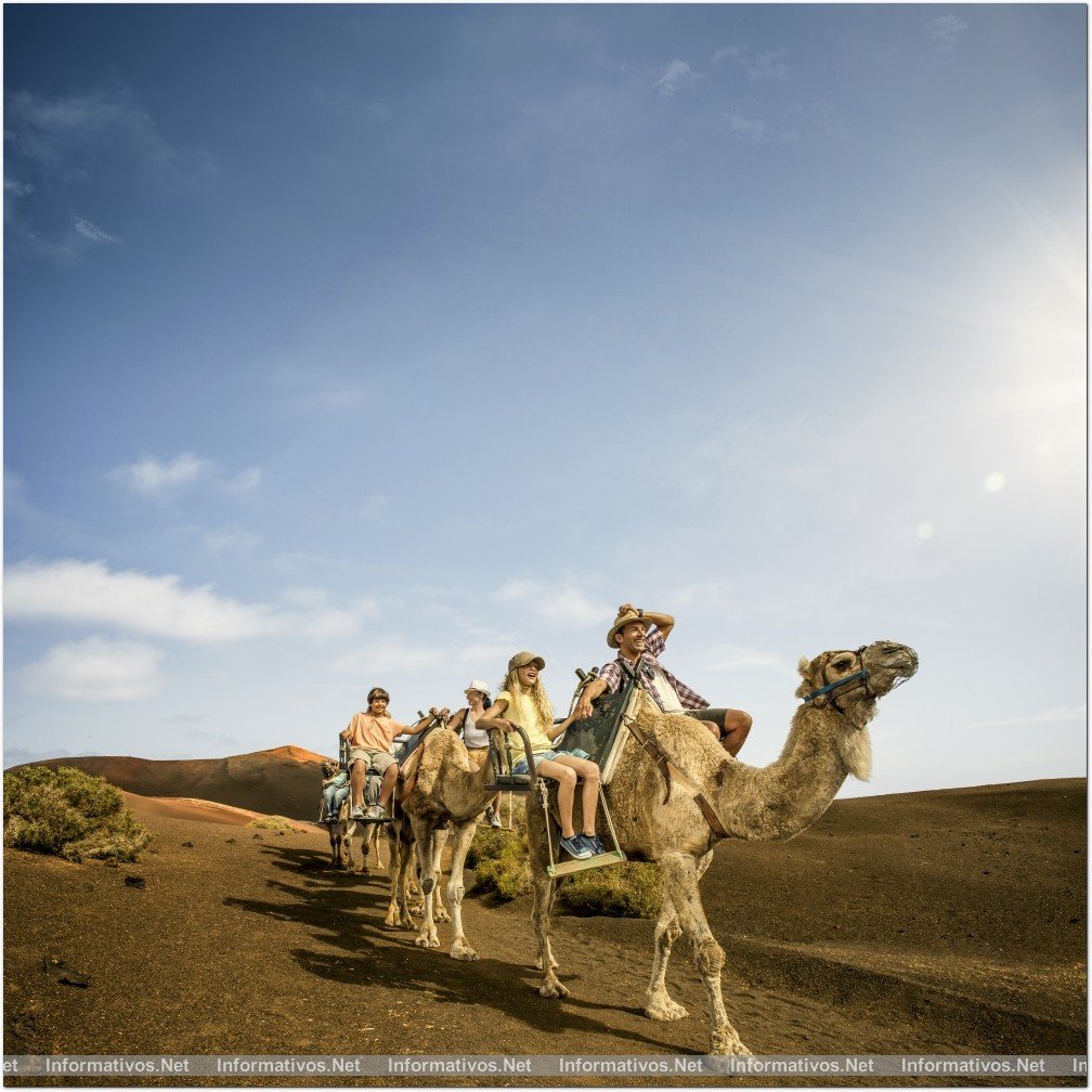 Canarias; las islas con mejor clima del mundo: 21ºC de media anual y 4.800 horas de luz al año: la eterna primavera.