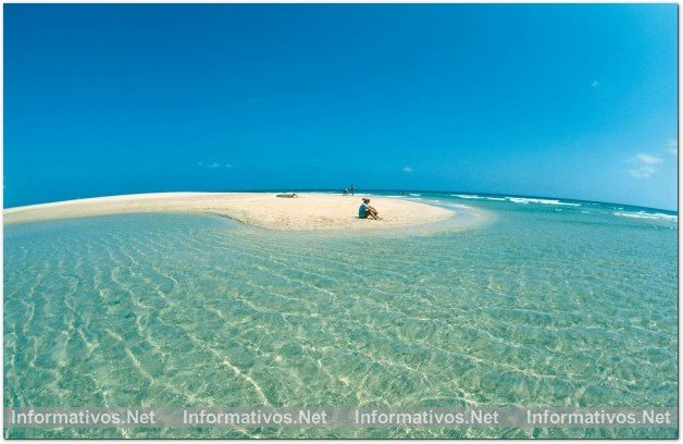 Canarias; las islas con mejor clima del mundo: 21ºC de media anual y 4.800 horas de luz al año: la eterna primavera.