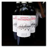 :: Pulse para Ampliar :: BCNJUN016.- Restaurante Dos Torres Barcelona. Matasnos, un Ribera de Duero de las Bodegas Bosque de Matasnos (Peñaranda de Duero, Burgos) que nos sorprendió agradablemente.