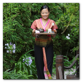 :: Pulse para Ampliar :: Asia Gardens: el Thai Spa más lujoso de Europa. 