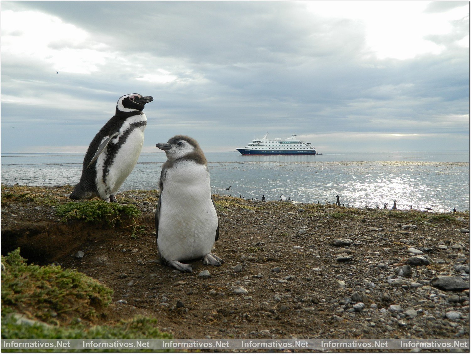 Ventus Australis. Viaje a los confines de la tierra: las excursiones y expediciones son la principal actividad del crucero