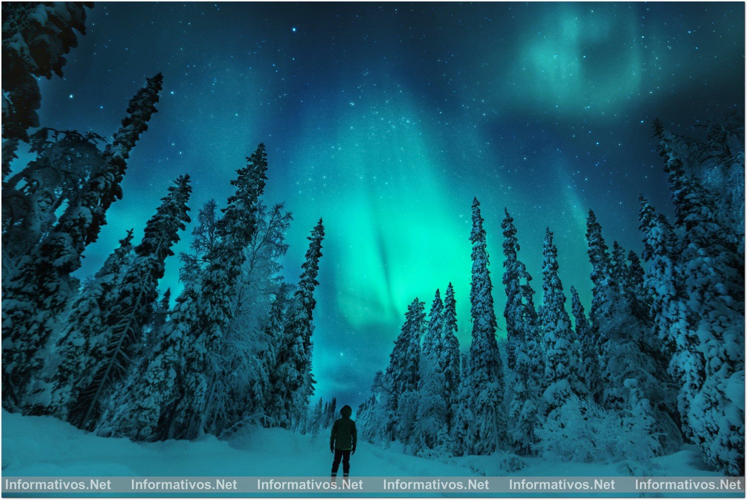 En Finlandia los bosques ocupan dos tercios de su territorio, hay más de 180.000 lagos y el aire es el tercero más limpio del planeta.