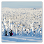 :: Pulse para Ampliar :: En Finlandia los bosques ocupan dos tercios de su territorio, hay más de 180.000 lagos y el aire es el tercero más limpio del planeta.