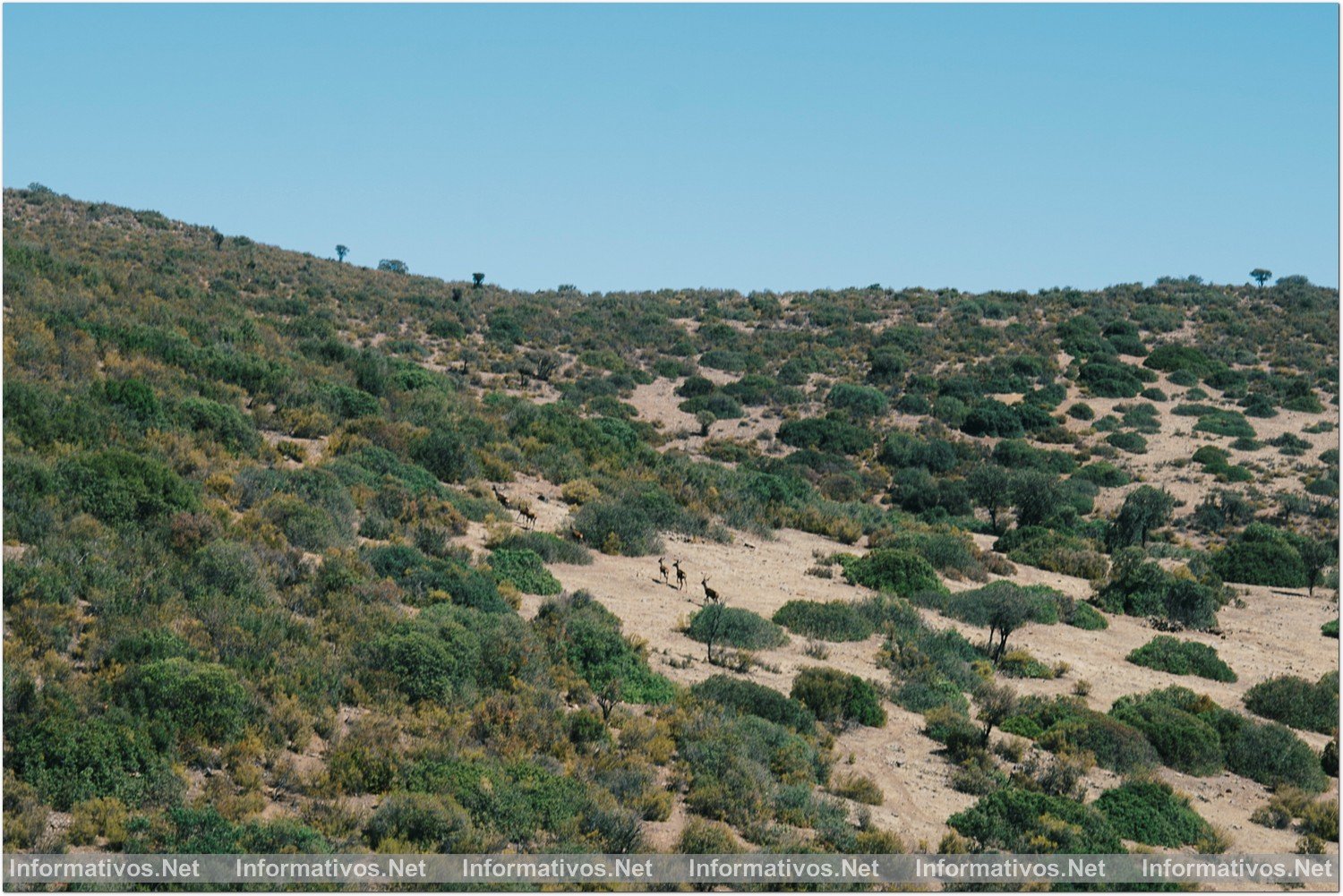 Ciudad Real. Finca Barranco de la Nava: el rincón secreto de la élite en España