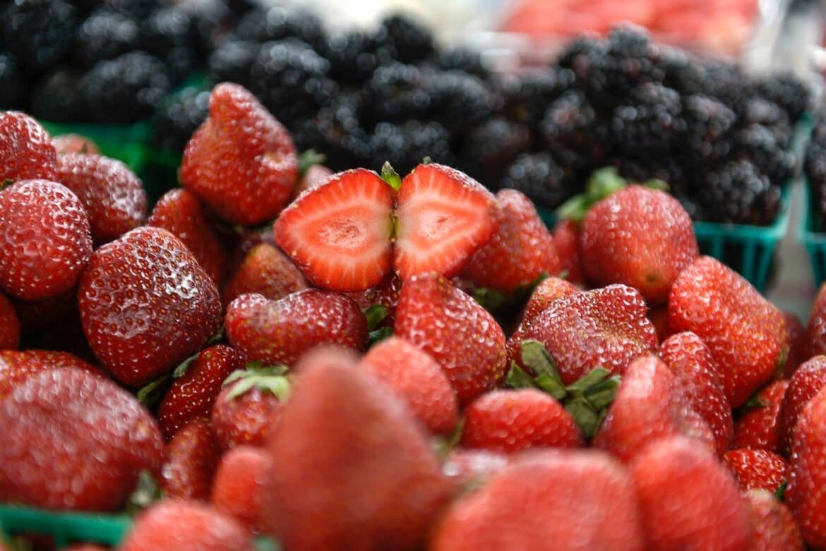 red strawberries in tilt shift lens