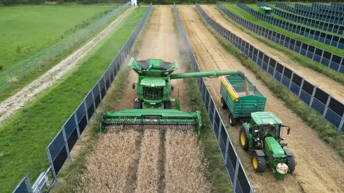 vertical-agrivoltaica