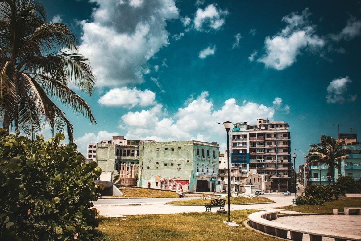 a view of some buildings and a palm tree