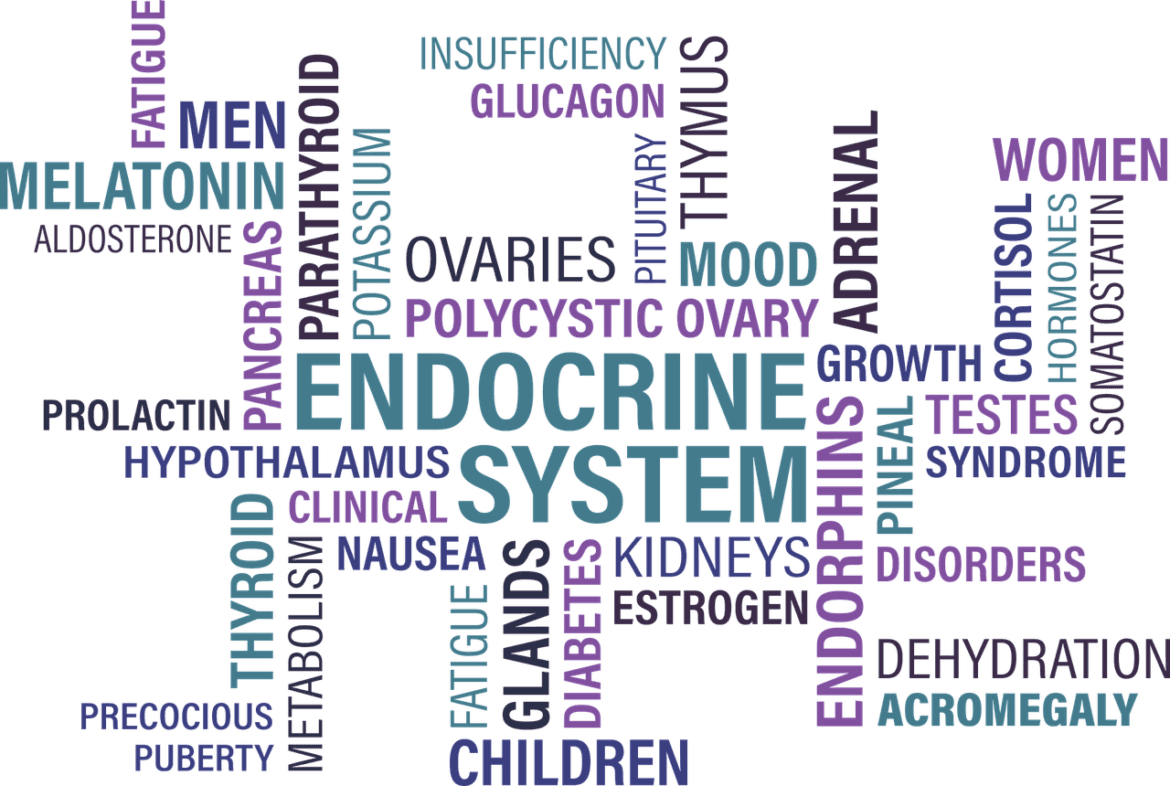 thyroid, endocrine, diabetes