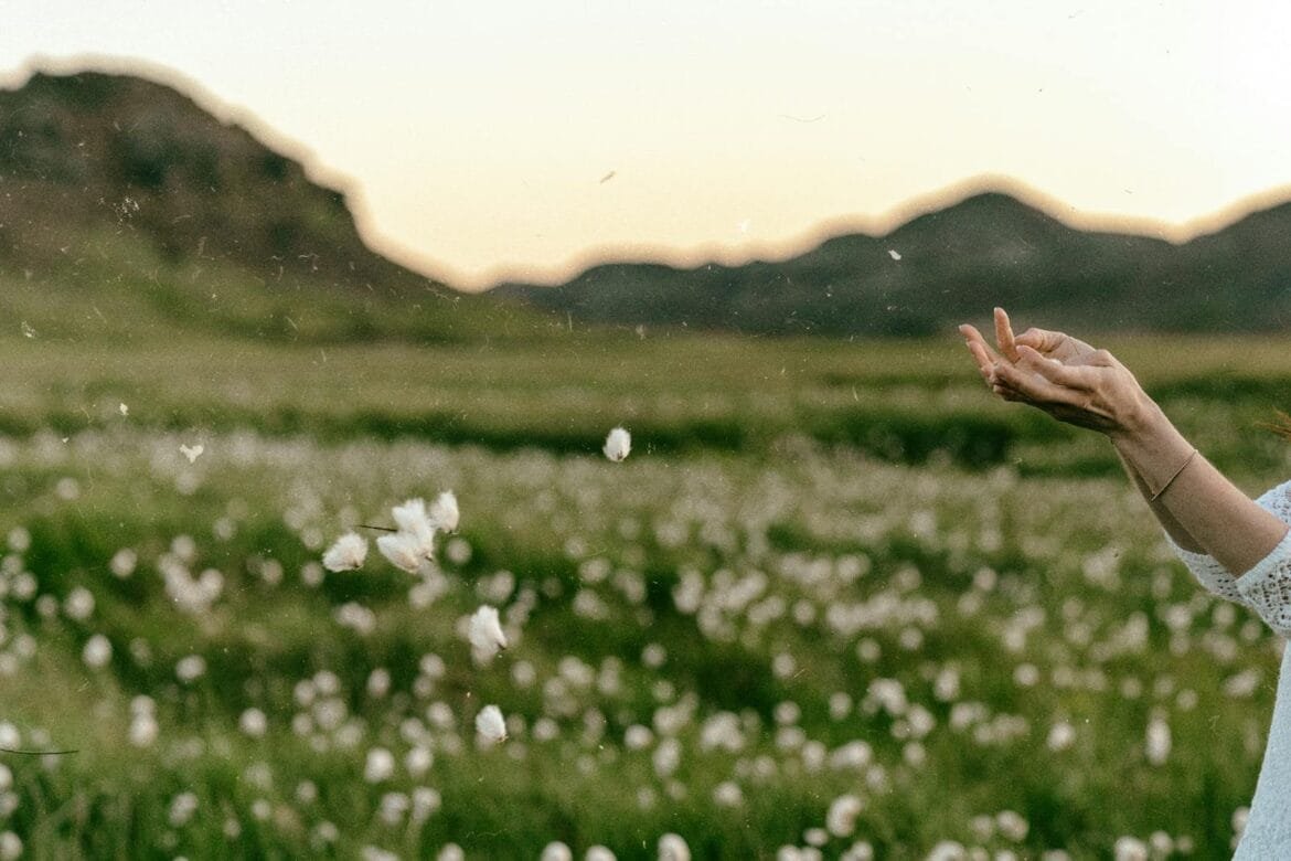 Floating cotton grass in an Icelandic landscape with hand reaching out.