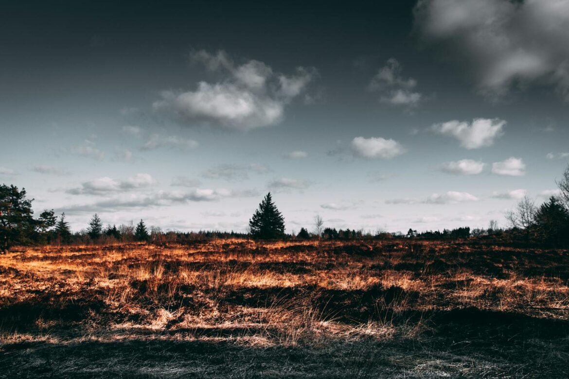 Autumn landscape with dramatic sky, scorched field, and silhouetted trees.