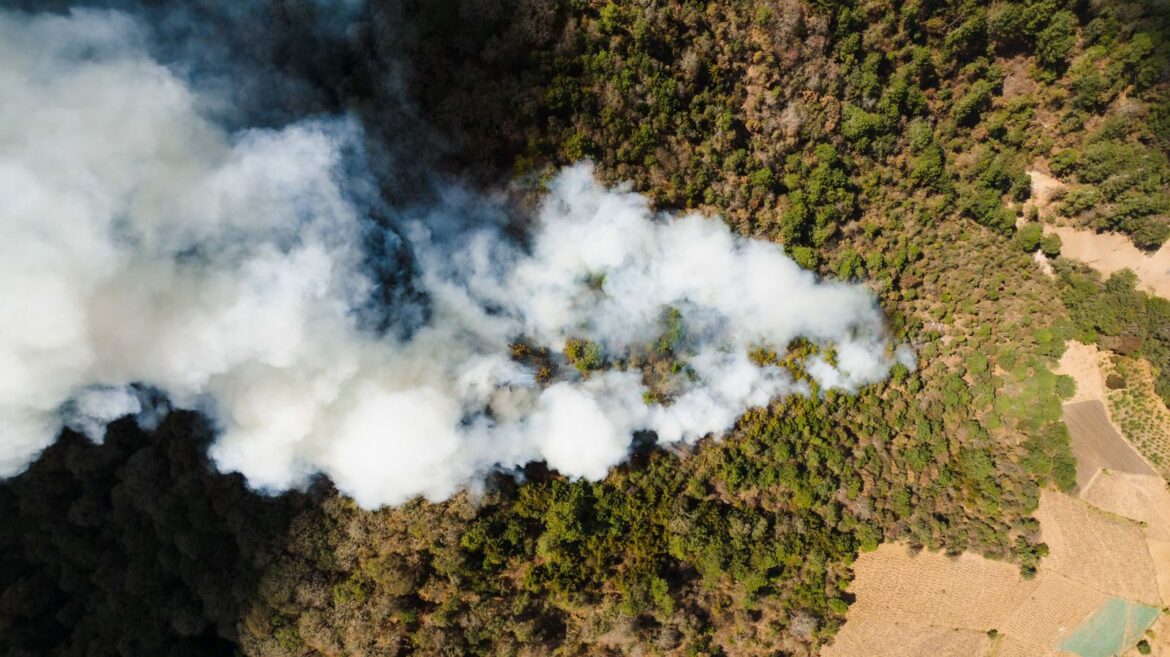 Stunning aerial view capturing smoke over a dense forest landscape, highlighting environmental impact.