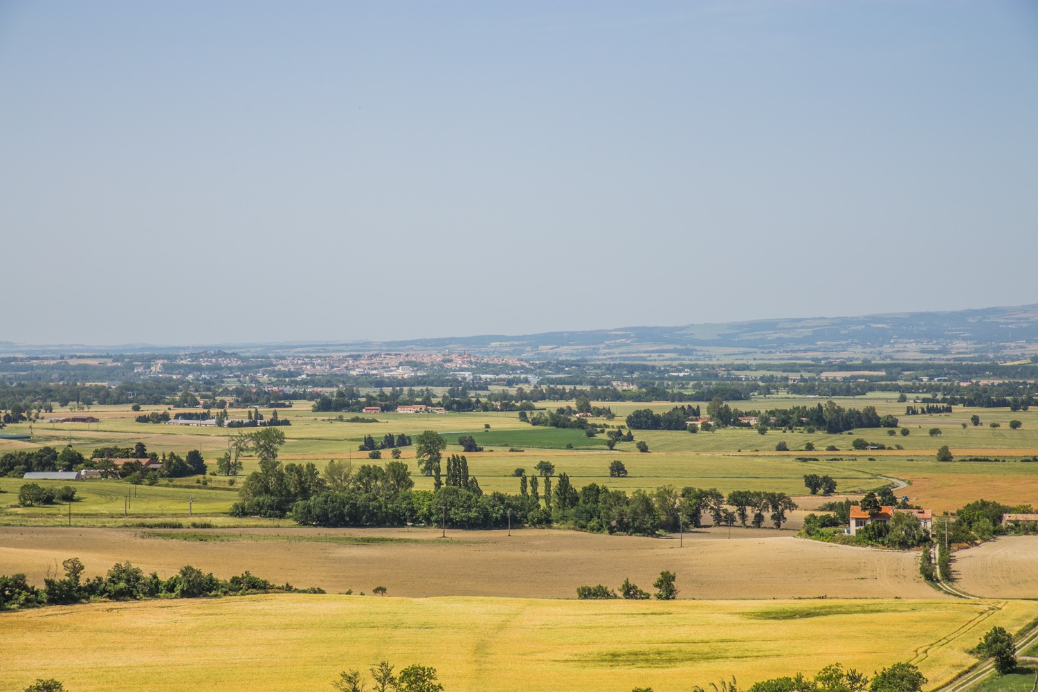 lauragais-2014-06-champ-colza-paysage-by-ot-castelnaudary