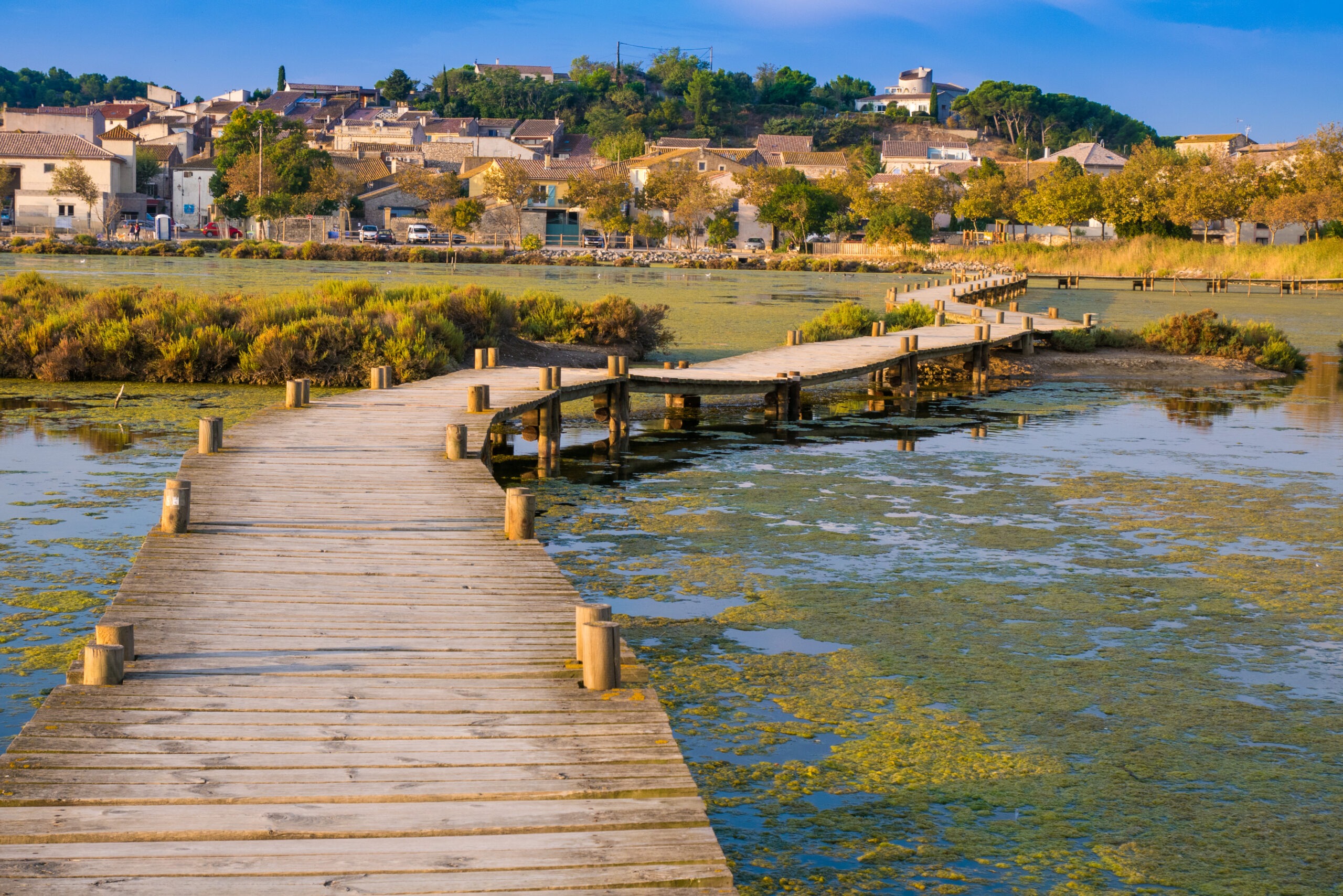 peyriac-de-mer-2017-09-etang-bages-ponton-by-c-deschamps-adt-aude
